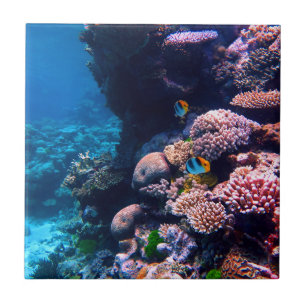 Colourful Tropical Coral Reef Ceramic Tile