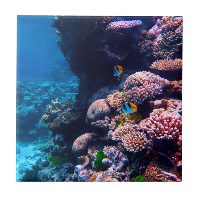 Colourful Tropical Coral Reef Ceramic Tile (Front)
