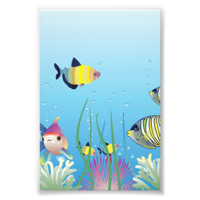 Colourful Tropical Fish & Bubbles Photo Print (Front)