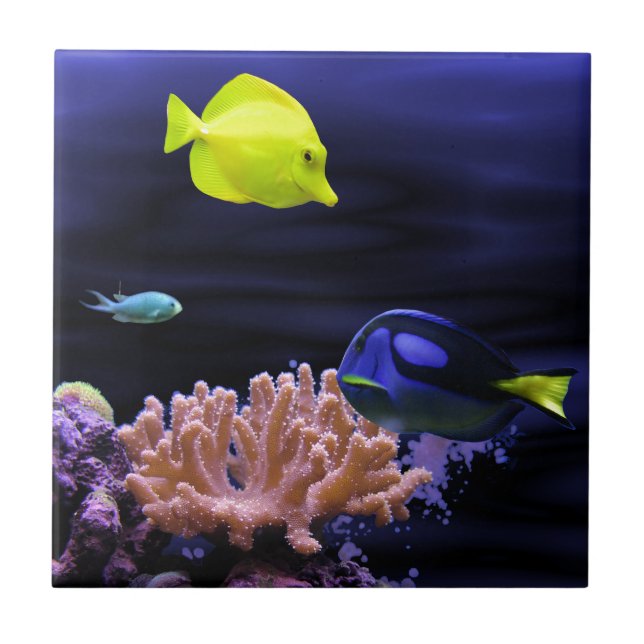 Colourful Tropical Fish Tile (Front)