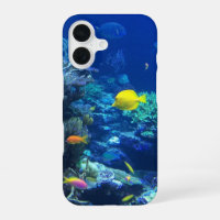 Colourful Tropical Fish Underwater Photo