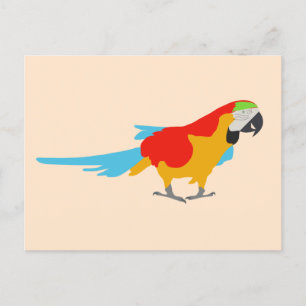 Colourful Tropical Macaw  Holiday Postcard
