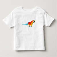 Colourful Tropical Macaw