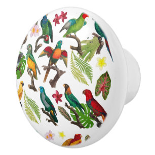 Colourful Tropical Parrots, Leaves & Flowers  Ceramic Knob