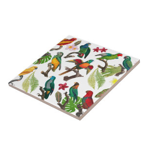 Colourful Tropical Parrots, Leaves & Flowers Ceramic Tile
