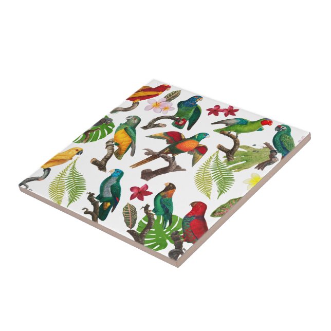 Colourful Tropical Parrots, Leaves & Flowers  Ceramic Tile (Side)
