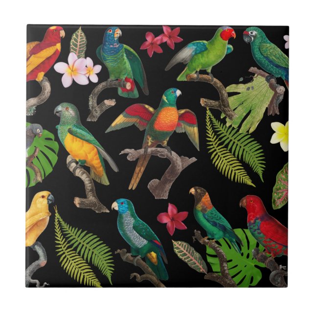 Colourful Tropical Parrots, Leaves & Flowers  Ceramic Tile (Front)