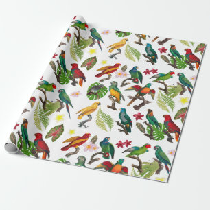 Colourful Tropical Parrots, Leaves & Flowers Wrapping Paper