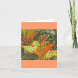 "Colourful Tropical Plants" Card