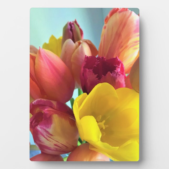 Colourful Tulip Bouquet Plaque (Front)