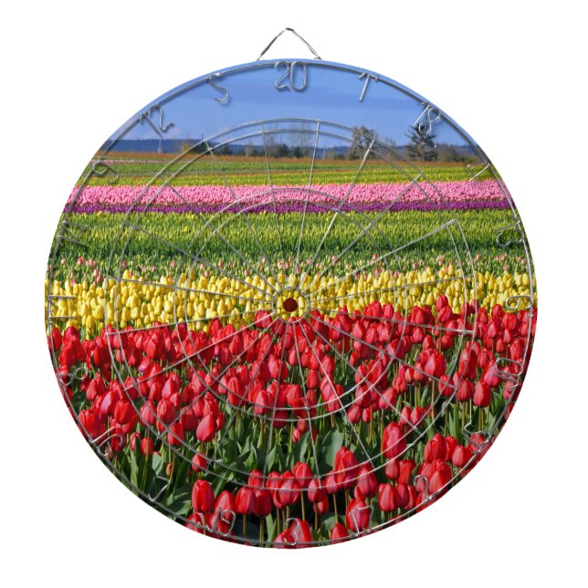 Colourful tulip field dartboard (Front)