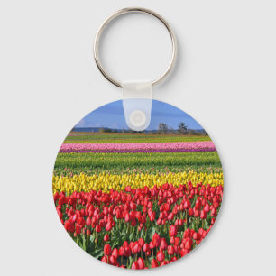 Colourful tulip field key ring