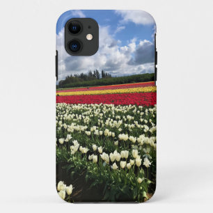 Colourful Tulip Field, Oregon iPhone 11 Case