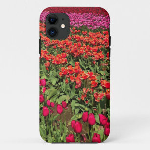 Colourful Tulip Field, Oregon iPhone 11 Case
