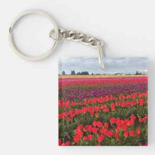 Colourful Tulip Field, Woodburn, Oregon Key Ring