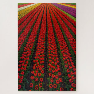 Colourful Tulip Fields Jigsaw Puzzle
