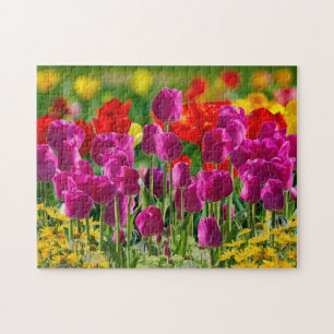 Colourful Tulip Flower Garden  Jigsaw Puzzle