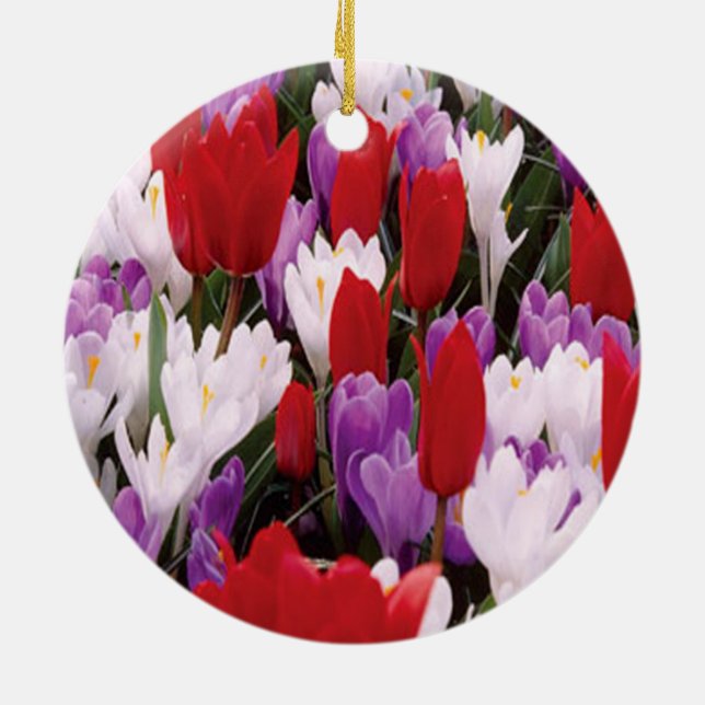 Colourful Tulip Flowers Ornament (Back)