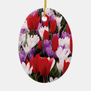 Colourful Tulip Flowers Ornament