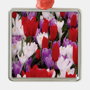 Colourful Tulip Flowers Ornament