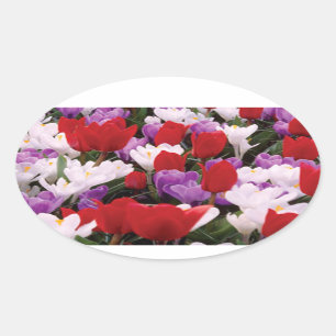 Colourful Tulip Flowers Stickers