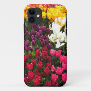 Colourful Tulip Garden Bed, Oregon iPhone 11 Case