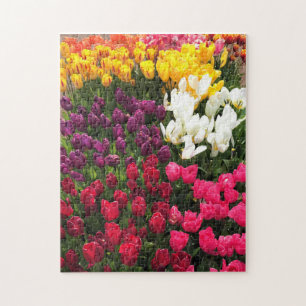 Colourful Tulip Garden Bed, Oregon Jigsaw Puzzle