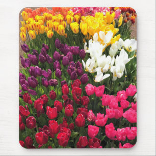 Colourful Tulip Garden Bed, Oregon Mouse Pad
