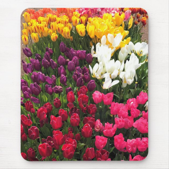 Colourful Tulip Garden Bed, Oregon Mouse Pad (Front)