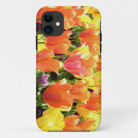 Colourful Tulip Garden