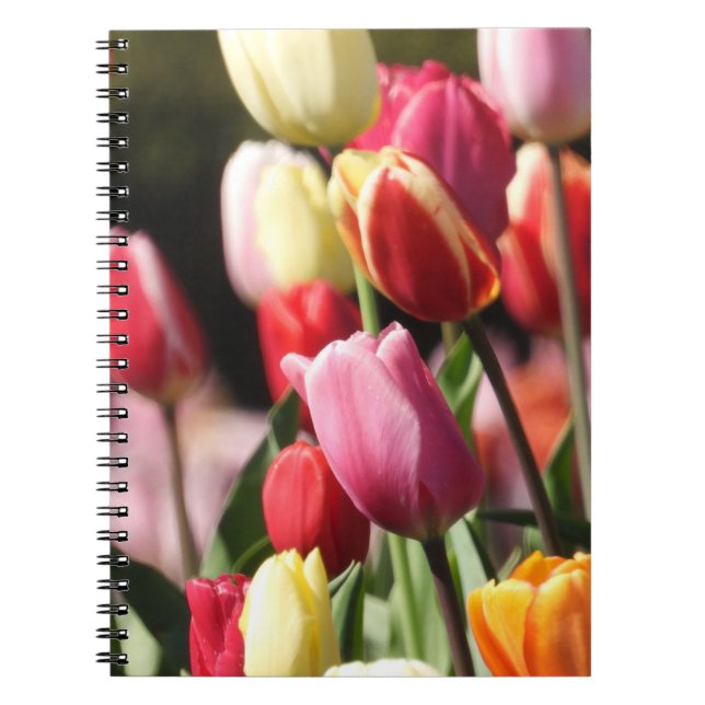 Colourful Tulip Garden Notebook (Front)
