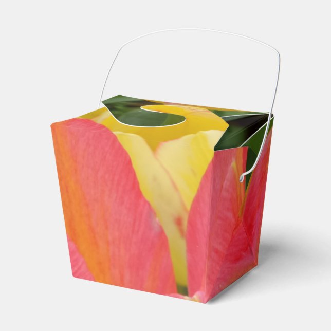Colourful Tulip Take Out Favour Box (Front Side)