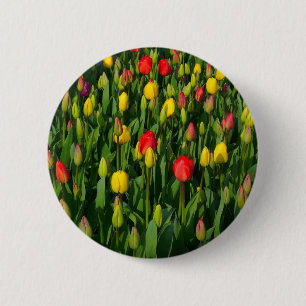 Colourful Tulips 6 Cm Round Badge