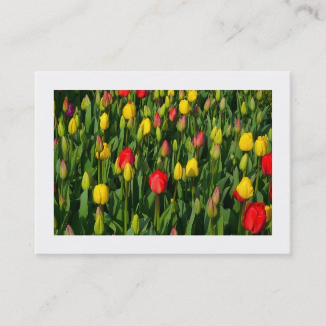 Colourful Tulips Business Card (Front)