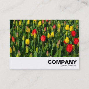 Colourful Tulips Business Card