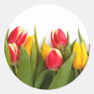 Colourful Tulips Classic Round Sticker