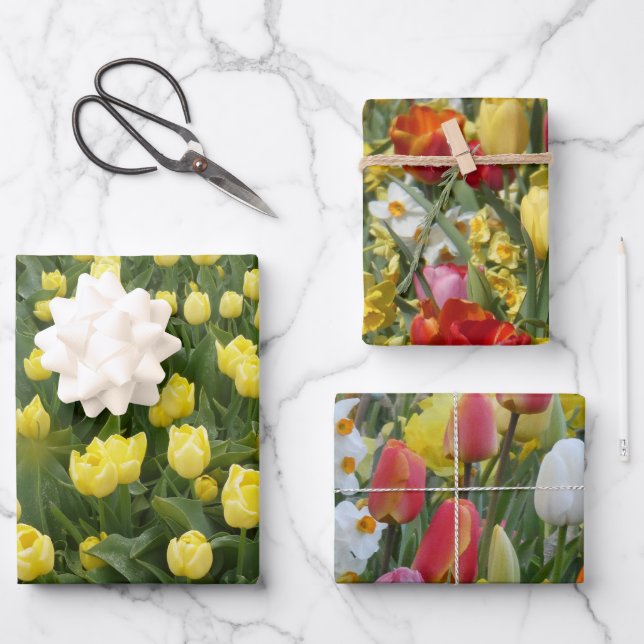 Colourful Tulips & Daffodils Wrapping Paper Sheets (Front)