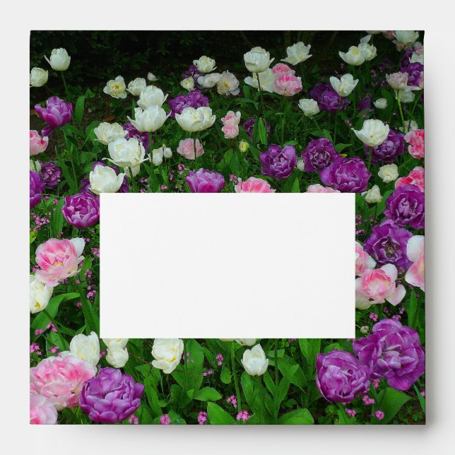 Colourful Tulips Envelope (Front)