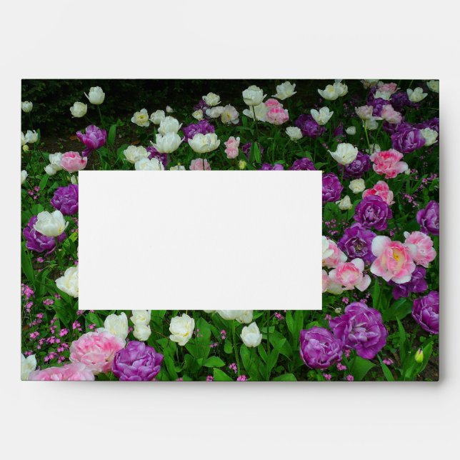 Colourful Tulips Envelopes (Front)