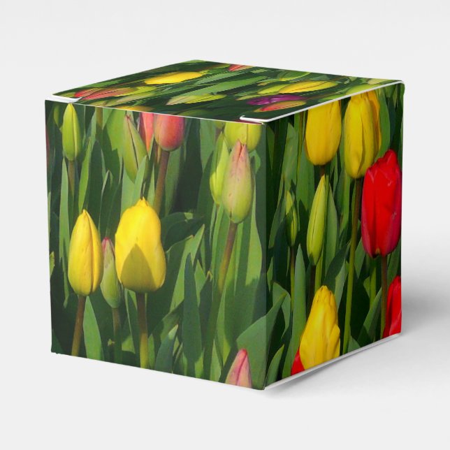 Colourful Tulips Favour Box (Front Side)