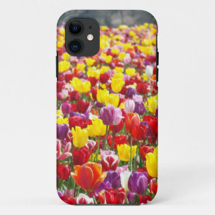 Colourful Tulips Festival iPhone 5 cases