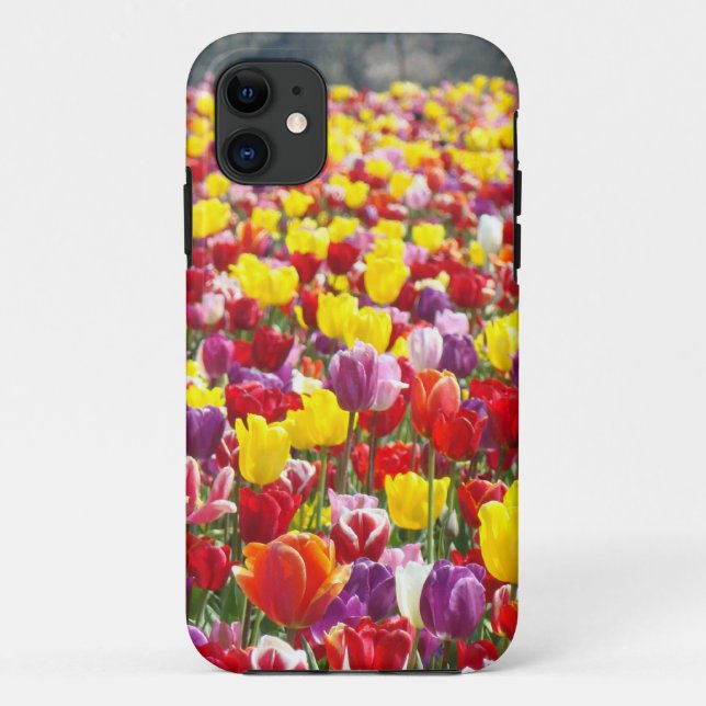 Colourful Tulips Festival iPhone 5 cases (Back)