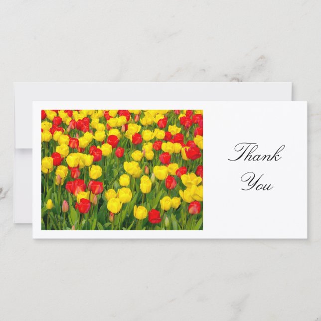Colourful Tulips II - Thank You Card (Front)