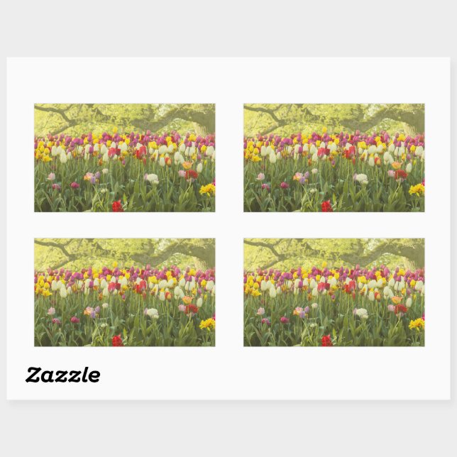 Colourful tulips in a park 2 rectangular sticker (Sheet)