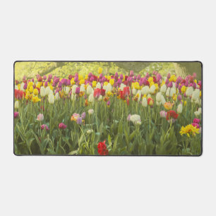 Colourful tulips in a park desk mat