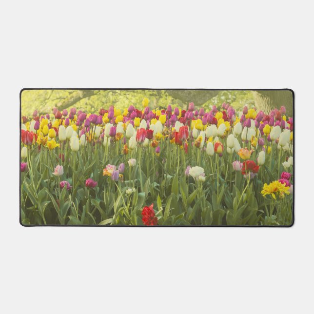 Colourful tulips in a park desk mat (Front)