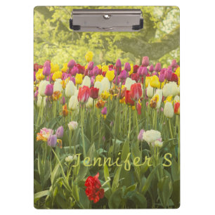 Colourful tulips in a park personalised  clipboard