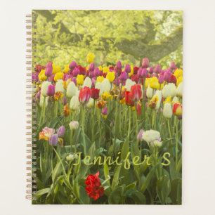 Colourful tulips in a park personalised planner