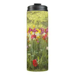 Colourful tulips in a park thermal tumbler