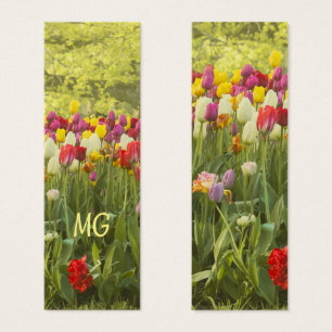 Colourful tulips in a park with Initials